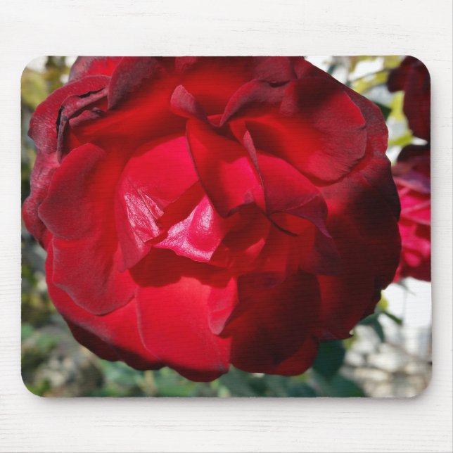 Tapis De Souris Le rouge de l'automne (Devant)