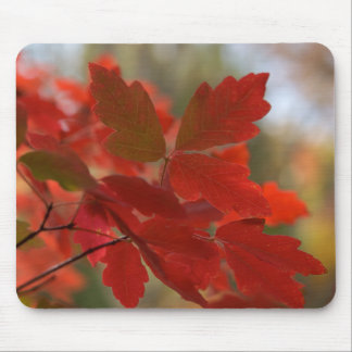 Tapis De Souris Le rouge laisse Mousepad