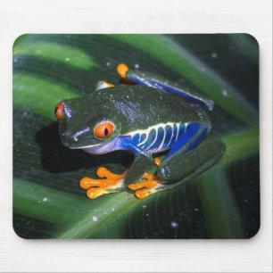 Tapis De Souris Le rouge observe la grenouille sur la feuille