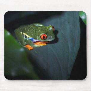 Tapis De Souris Le rouge observe la séance de grenouille