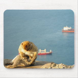 Tapis De Souris Le singe barbare de Gibraltar