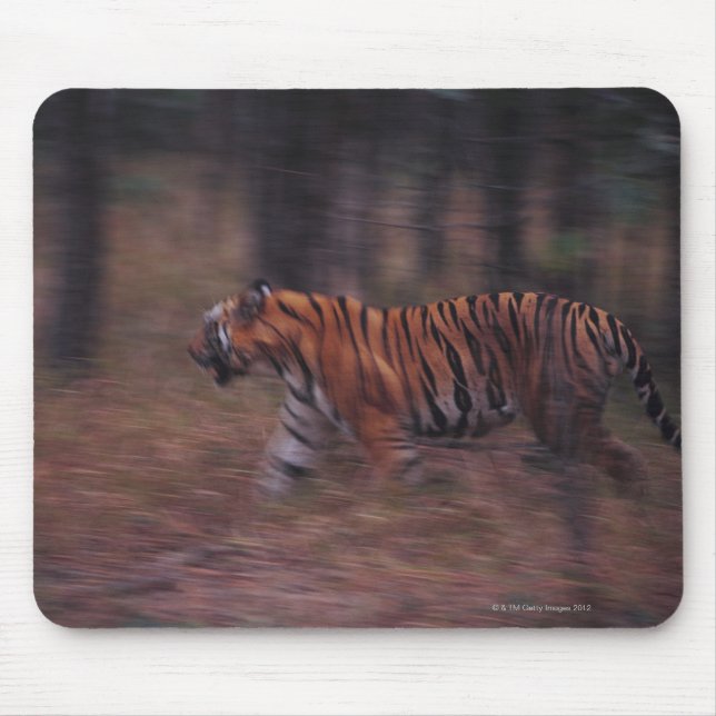 Tapis De Souris Le tigre à travers la forêt (Devant)