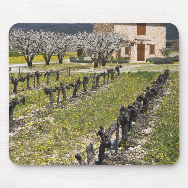 Tapis De Souris Le vignoble dormant, fruit fleurit, la maison en (Devant)