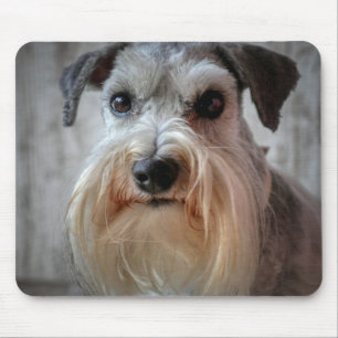 Tapis De Souris Le visage de Schnauzer Dog