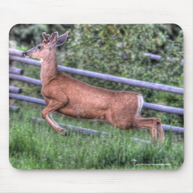 Tapis De Souris Leaping Deer Buck on Ranch Wildlife Photo (Devant)
