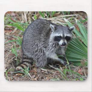 Tapis De Souris Leave Me Alone