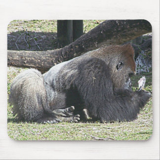 Tapis De Souris Leçons libres de tisonnier