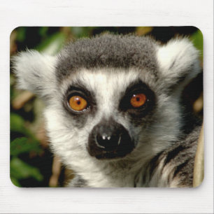 Tapis De Souris Lenur Mousepad