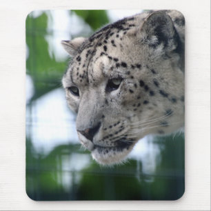 Tapis De Souris Leopard 003