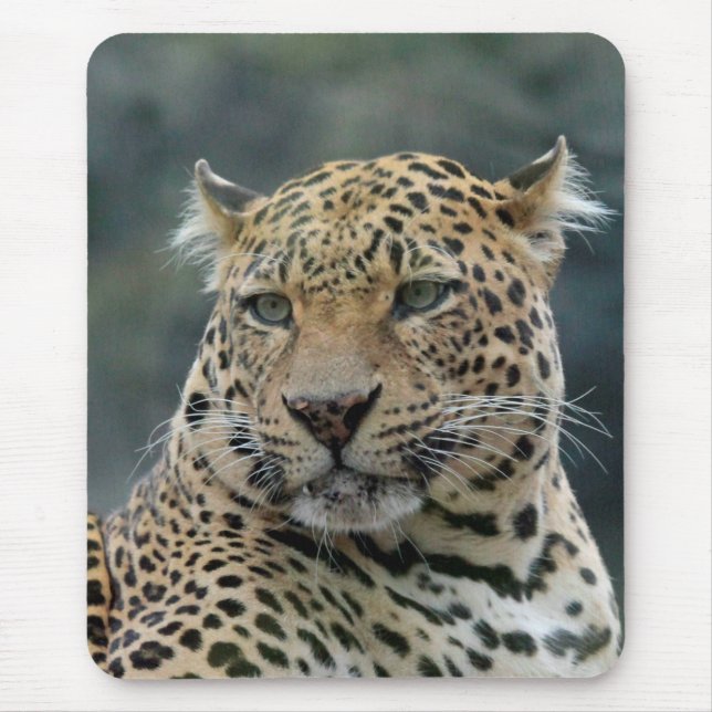Tapis De Souris Leopard 006 (Devant)