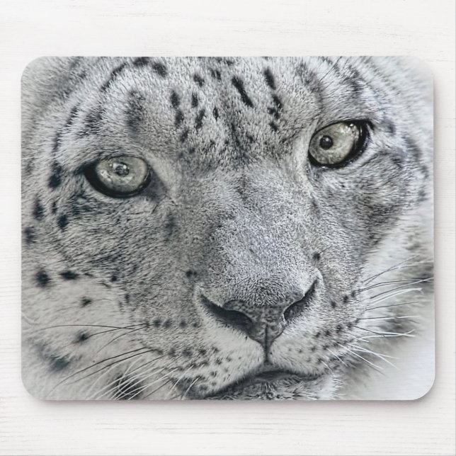 Tapis De Souris Léopard de neige blanc exotique (Devant)