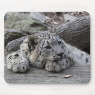 Tapis De Souris Léopard de neige ennuyé CUB