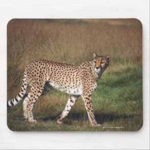 Tapis De Souris Léopard en plaine