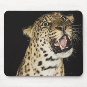 Tapis De Souris Léopard hurlant