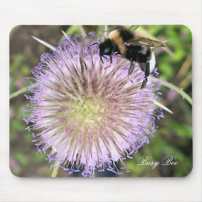 TAPIS DE SOURIS LES ABEILLES (Devant)