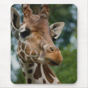 Tapis De Souris Les amateurs de girafe Les cadeaux d'art