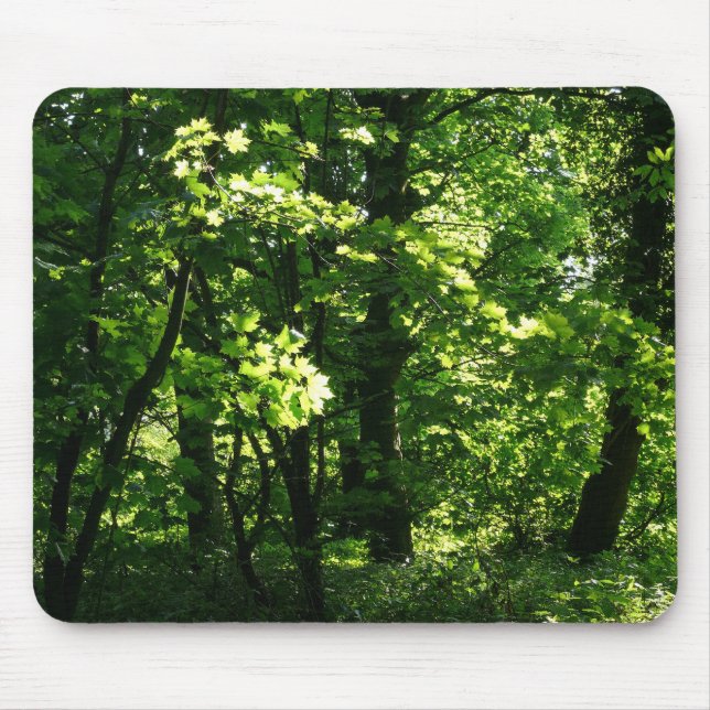 Tapis De Souris Les arbres au printemps. Bute Park, Cardiff. Pays  (Devant)