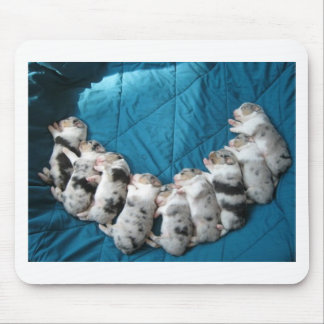 Tapis De Souris les Australiens m'incitent à sourire