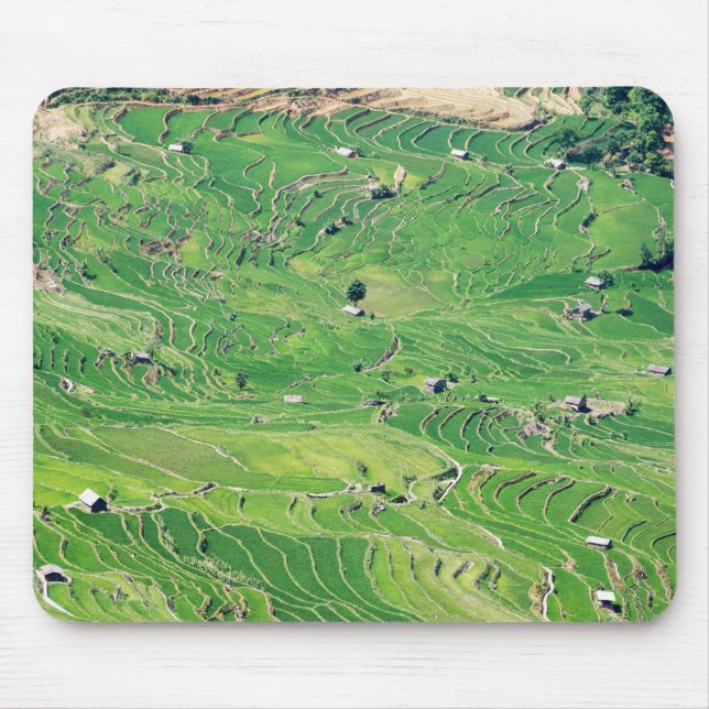 Tapis De Souris Les célèbres terrasses de riz yuanyang - Yunnan, C (Devant)