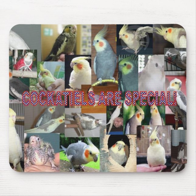 Tapis De Souris Les Cockatiels sont spéciaux (Devant)