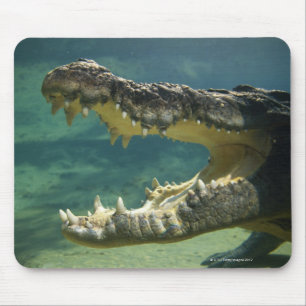 Tapis De Souris Les crocodiles ouvrent la bouche