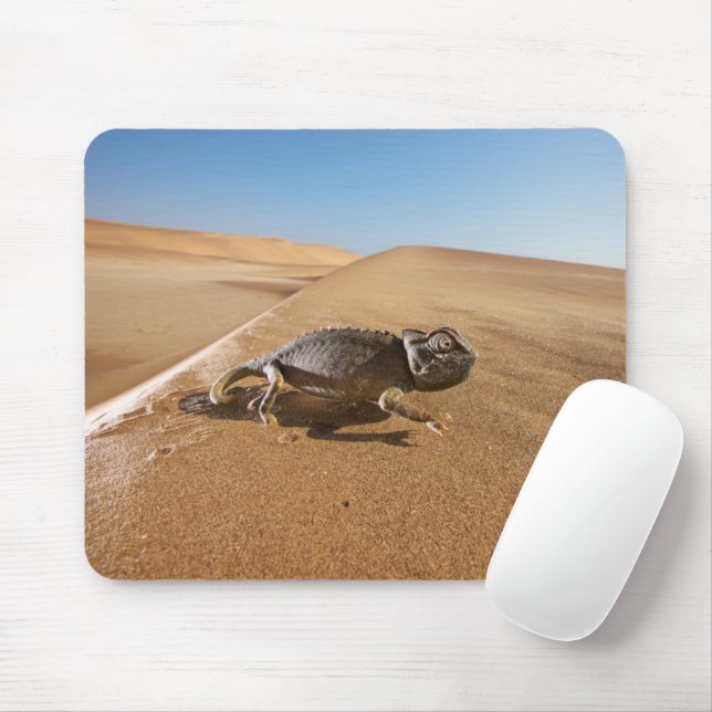 Tapis De Souris Les déserts | Namaqua Chameleon dans le désert (Avec souris)