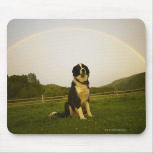 Tapis De Souris Les Etats-Unis, le Colorado, nouveau château