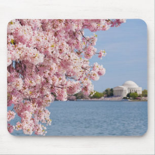 Tapis De Souris Les Etats-Unis, Washington DC, cerisier