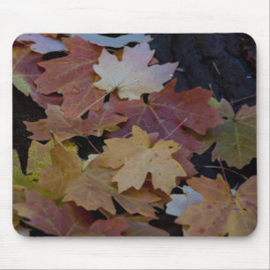 Tapis De Souris Les feuilles d'automne tout autour