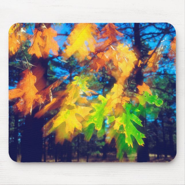 Tapis De Souris Les Feuilles de chêne noir soufflent dans le vent (Devant)
