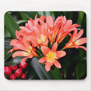 Tapis De Souris Les fleurs d'Orange Clivia en fleurs