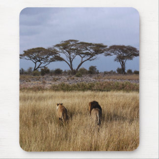 Tapis De Souris Les lions d'Afrique