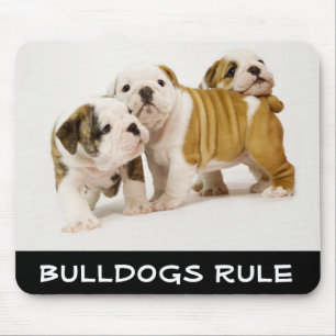 Tapis De Souris Les Mignons Bulldogs gouvernent les Chiens chiots 