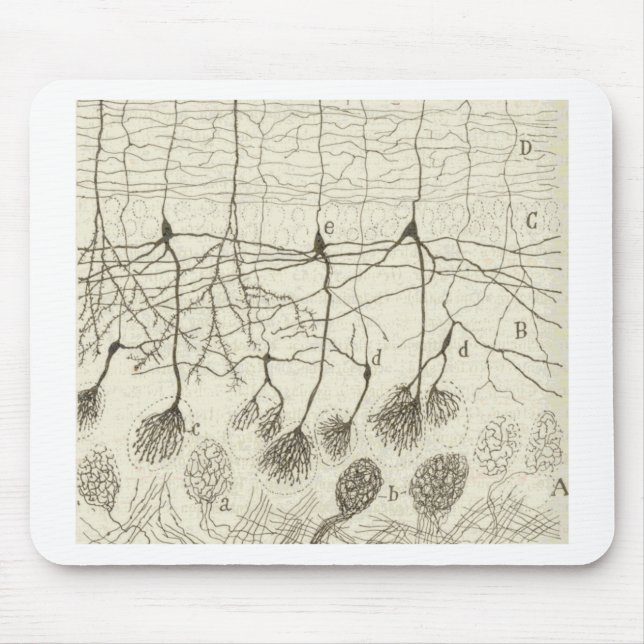 Tapis De Souris Les neurones 8 de Cajal (Devant)