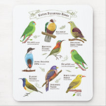 Les oiseaux natifs aux Philippines
