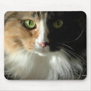Tapis De Souris Les plots réflectorisés Mousepad