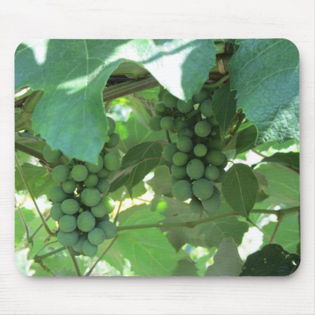 Tapis De Souris Les raisins sur les vignes (Devant)