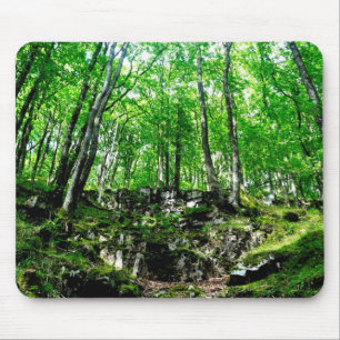 Tapis De Souris Les sentiers de la forêt à Wales Neath Valley