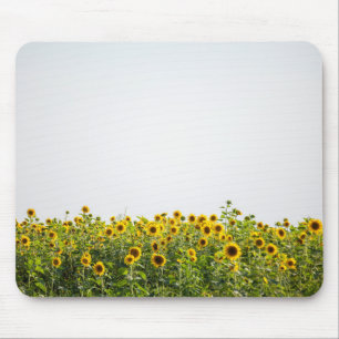 Tapis De Souris Les tournesols dans un champ