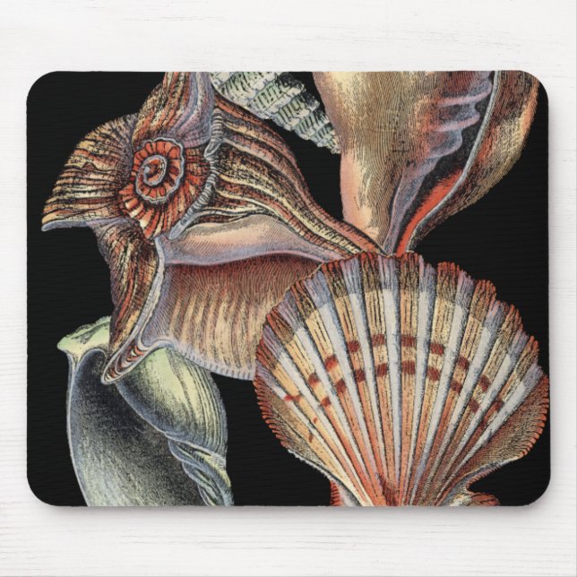 Tapis De Souris Les trésors de la mer (Devant)