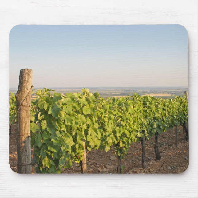 Tapis De Souris Les vignobles de Tokaj, Hongrie (Devant)