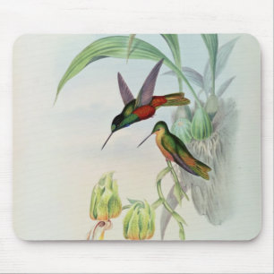 Tapis De Souris L'étoile de Bonaparte a affronté le colibri