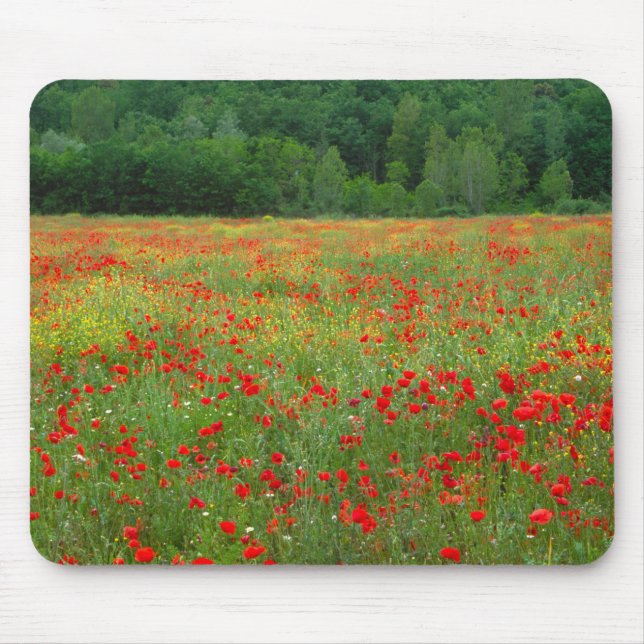 Tapis De Souris L'Europe, l'Italie, la Toscane, les pavots rouges  (Devant)