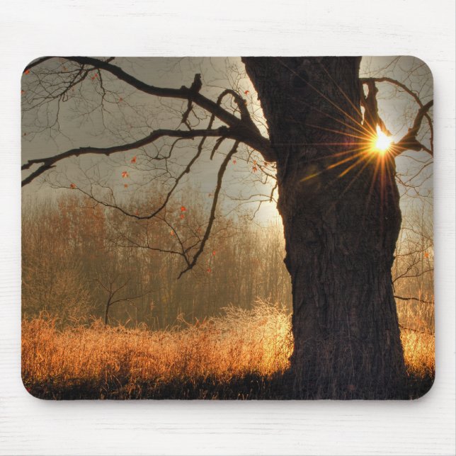 Tapis De Souris Lever du soleil d'automne (Devant)