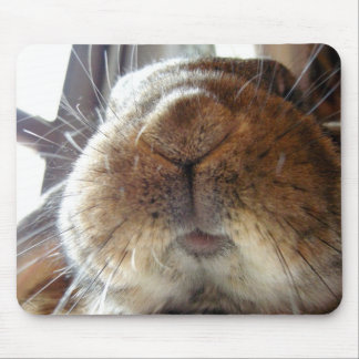 Tapis De Souris Lèvres et bouche mignonnes de lapin