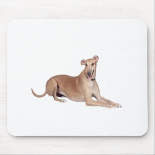 Tapis De Souris Lévrier (faon, couché)
