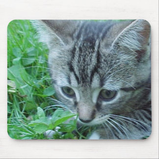 Tapis De Souris L'explorez d'abord