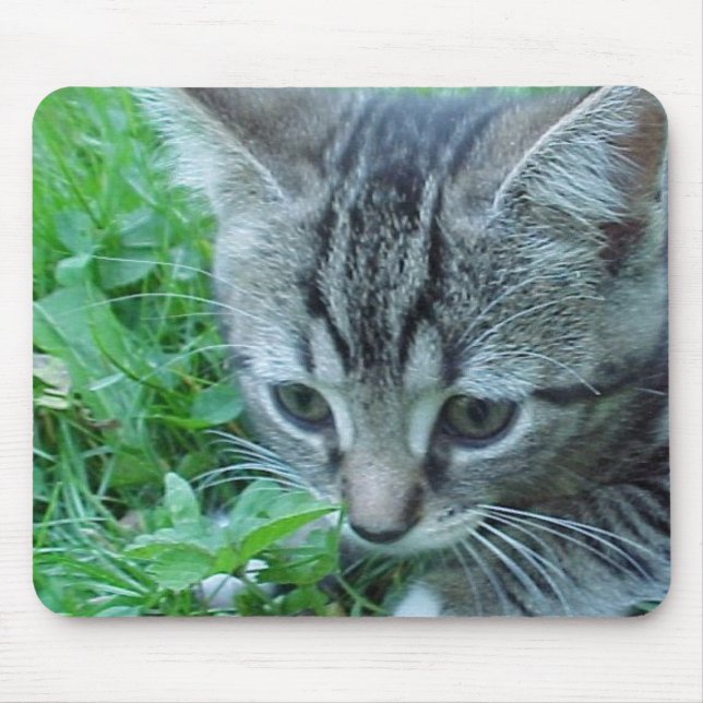 Tapis De Souris L'explorez d'abord (Devant)