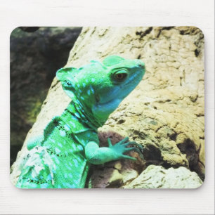 Tapis De Souris Lézard de basilic vert