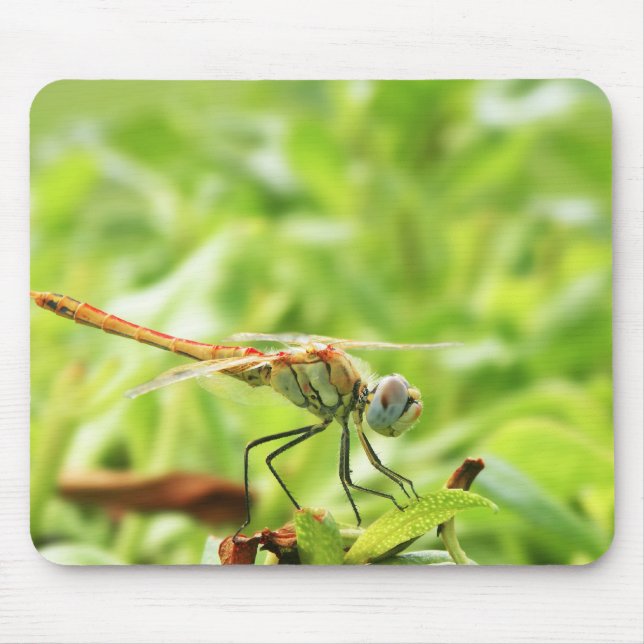 Tapis De Souris Libellule (Devant)